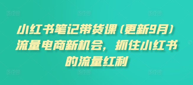 小红书笔记带货课(更新10月)流量电商新机会，抓住小红书的流量红利-800资源网