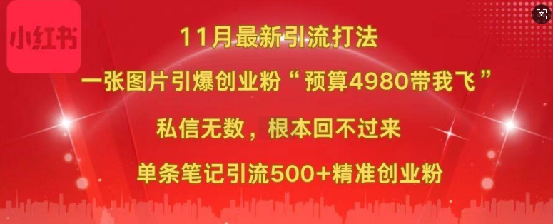 小红书11月最新图片打粉，一张图片引爆创业粉，“预算4980带我飞”，单条引流500+精准创业粉-800资源网