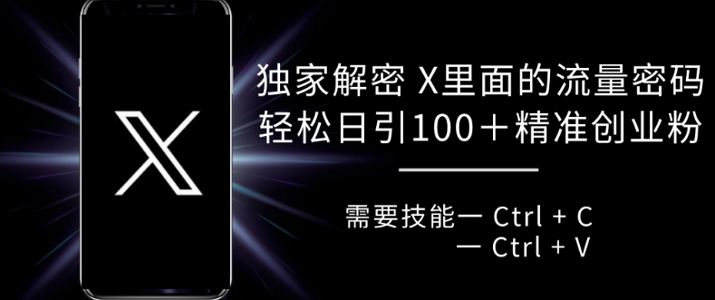 独家解密 X 里面的流量密码，复制粘贴轻松日引100+-800资源网