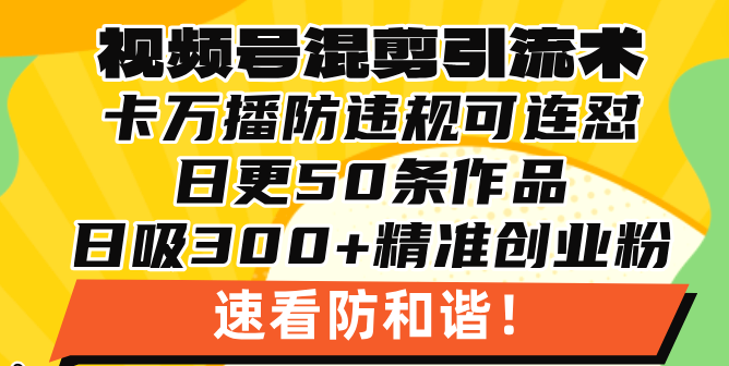 视频号混剪引流技术，500万播放引流17000创业粉，操作简单当天学会-800资源网