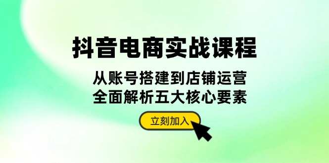抖音 电商实战课程：从账号搭建到店铺运营，全面解析五大核心要素-800资源网