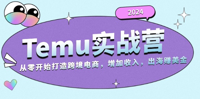 2024Temu实战营：从零开始打造跨境电商，增加收入，出海赚美金-800资源网