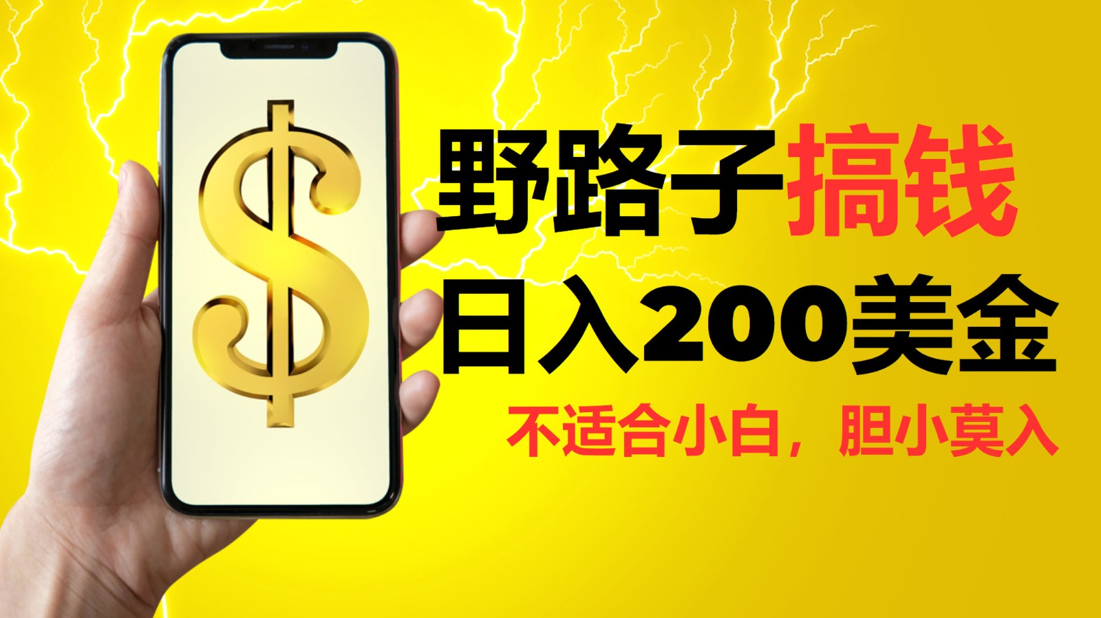 挂机野路子搞钱，日入200美金，路子很野，小白莫入-800资源网