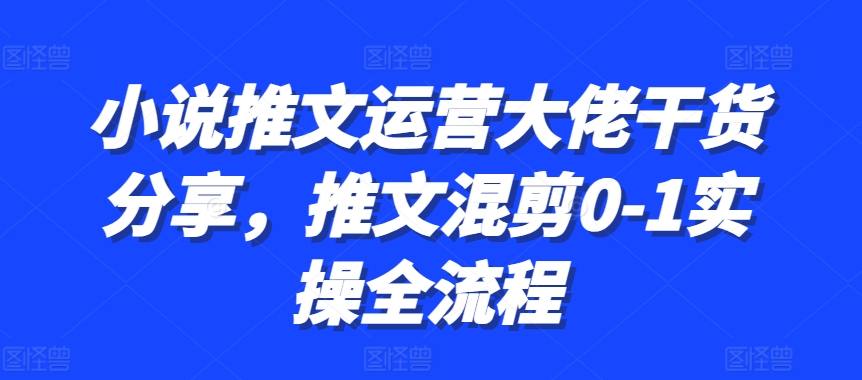 小说推文运营大佬干货分享，推文混剪0-1实操全流程-800资源网