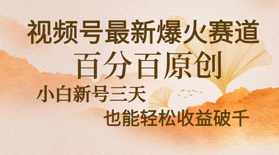 视频号最新爆火赛道，中老年粉深信不疑，百分百原创，新号三天收益轻松…-800资源网