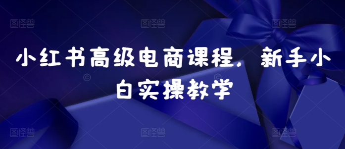 小红书高级电商课程，新手小白实操教学-800资源网