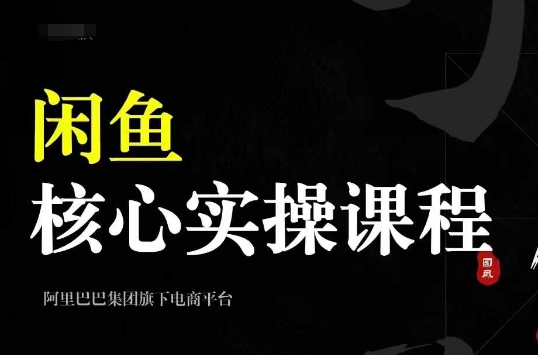 2024闲鱼核心实操课程，从养号、选品、发布、销售，教你做一个出单的闲鱼号-800资源网