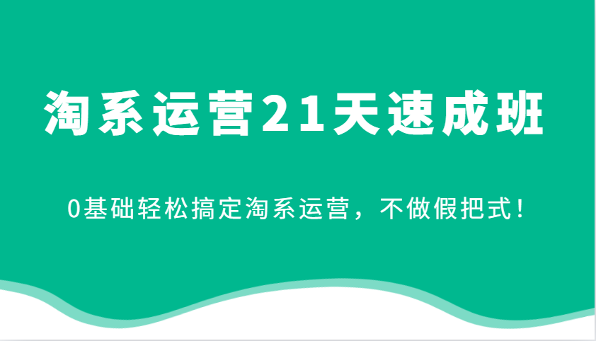 淘系运营21天速成班，0基础轻松搞定淘系运营，不做假把式！-800资源网