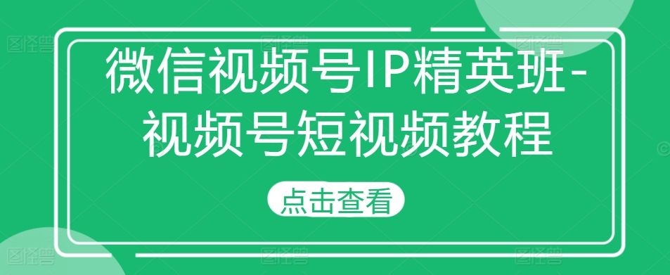 微信视频号IP精英班-视频号短视频教程-800资源网