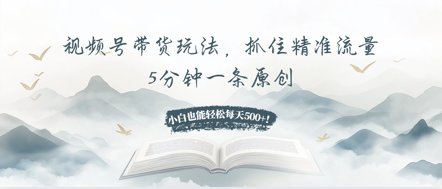 视频号带货玩法，抓住精准流量，5分钟一条原创，小白也能轻松每天500+！-800资源网
