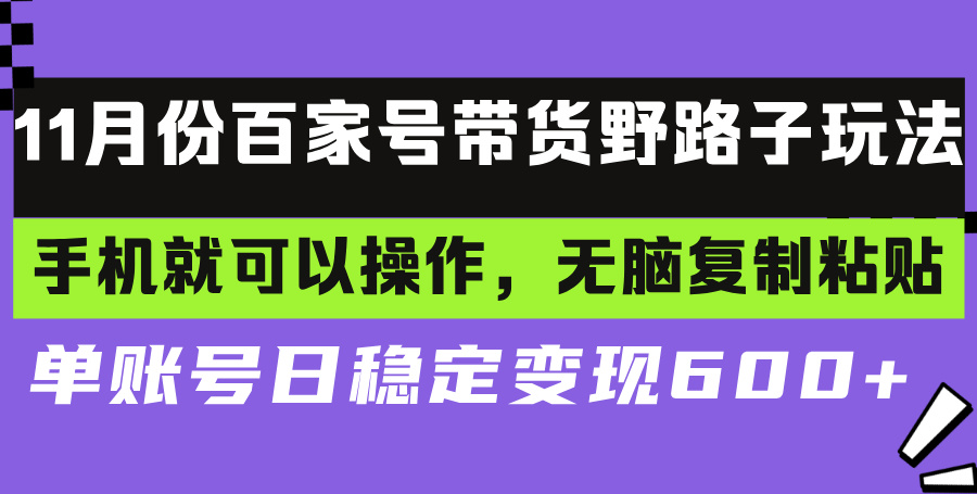 百家号带货野路子玩法 手机就可以操作，无脑复制粘贴 单账号日稳定变现…-800资源网