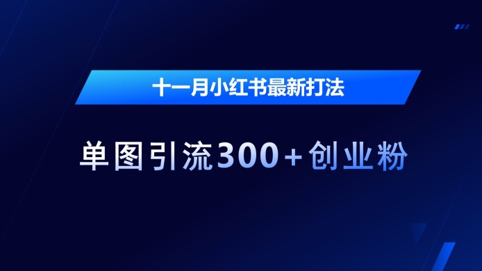 十一月小红书最新打法，单图引流300+创业粉-800资源网