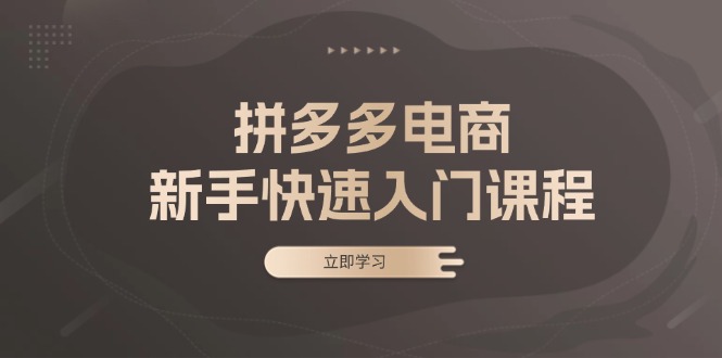 拼多多电商新手快速入门课程：涵盖基础、实战与选款，助力小白轻松上手-800资源网