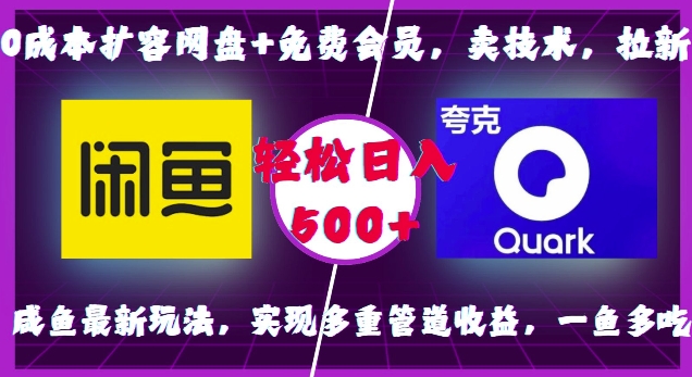0成本扩容网盘+免费会员，卖技术，拉新，咸鱼最新玩法，实现多重管道收益，一鱼多吃，轻松日入500+-800资源网