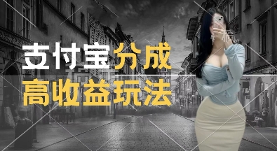 支付宝分成计划新玩法，利用交通事故视频，赚收益，轻松月入过W，操作简单-800资源网