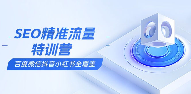 SEO精准流量特训营，百度微信抖音小红书全覆盖，带你搞懂搜索优化核心技巧-800资源网