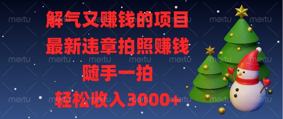 解气又赚钱的项目，最新违章拍照赚钱，随手一拍，轻松收入3000+-800资源网