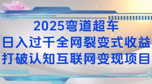 2025弯道超车日入过K全网裂变式收益打破认知互联网变现项目-800资源网