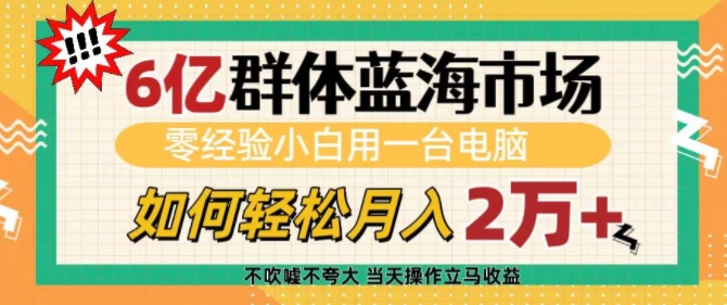 6亿群体蓝海市场，零经验小白用一台电脑，如何轻松月入过w-800资源网