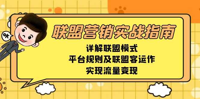 联盟营销实战指南，详解联盟模式、平台规则及联盟客运作，实现流量变现-800资源网