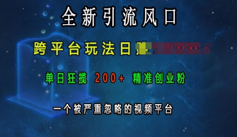 全新引流风口，跨平台玩法日入上k，单日狂揽200+精准创业粉，一个被严重忽略的视频平台-800资源网