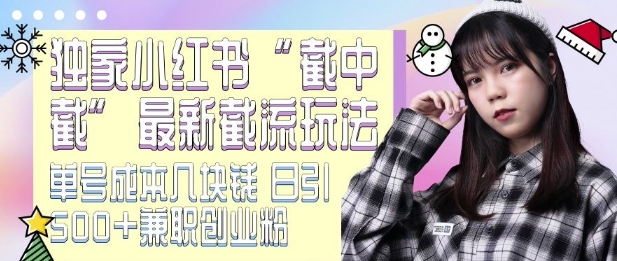 最新小红书截流玩法 独家截中截 单号成本几块钱 日引500+CY粉JZ粉-800资源网