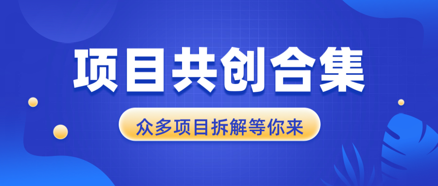 项目共创合集，从0-1全过程拆解，让你迅速找到适合自已的项目-800资源网
