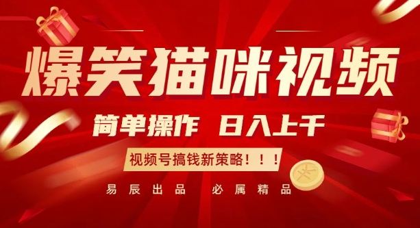 爆笑猫咪视频：简单操作，日入过K，视频号搞钱新策略-800资源网