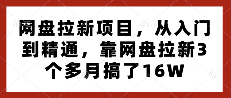 网盘拉新项目，从入门到精通，靠网盘拉新3个多月搞了16W-800资源网