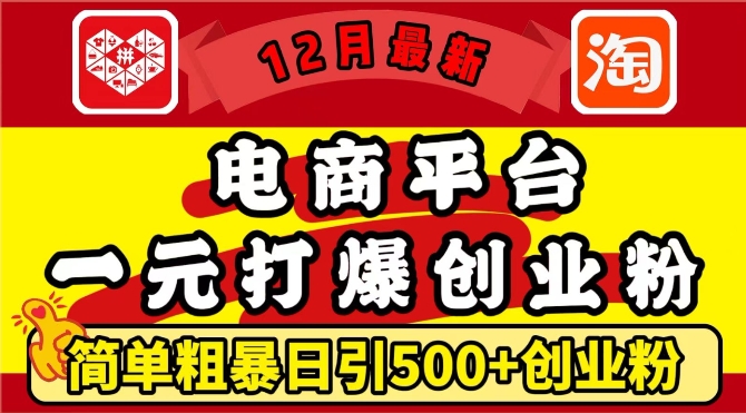 12月最新：电商平台1元打爆创业粉，简单粗暴日引500+精准创业粉，轻松月入过W-800资源网