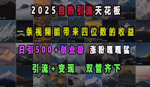 2025自热引流天花板，一条视频能带来四位数的收益，引流+变现双管齐下，日引500+创业粉，涨粉嘎嘎猛-800资源网