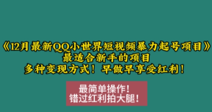 12月最新QQ小世界短视频暴力起号项目，最适合新手的项目，多种变现方式-800资源网