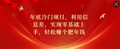 年底冷门项目，利用信息差，实现零基础上手，轻松赚个肥年钱-800资源网