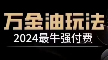 2024最牛强付费，万金油强付费玩法，干货满满，全程实操起飞（更新12月）-800资源网