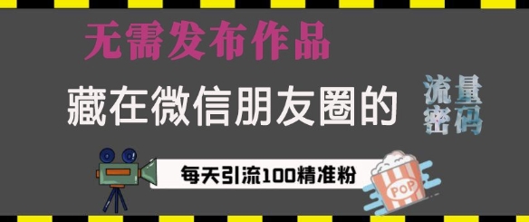 藏在微信朋友圈的流量密码，无需发布作品，单日引流100+精准创业粉-800资源网