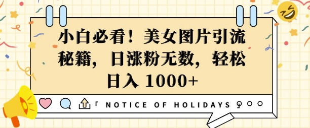 小白必看，美女图片引流秘籍，日涨粉无数，轻松日入几张-800资源网