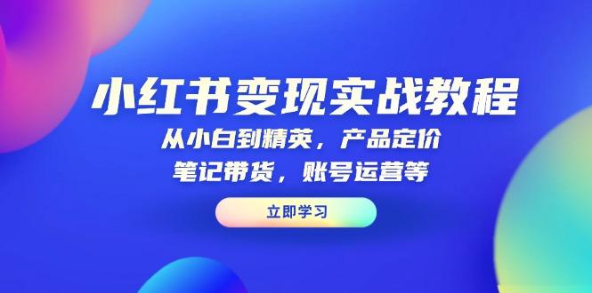 小红书变现实战教程：从小白到精英，产品定价，笔记带货，账号运营等-800资源网