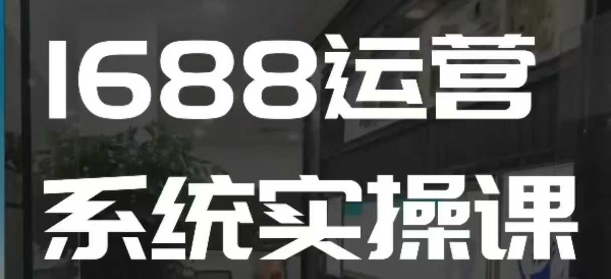 1688高阶运营系统实操课，快速掌握1688店铺运营的核心玩法-800资源网