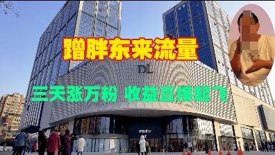 蹭胖东来流量，三天涨万粉，收益直接起飞-800资源网