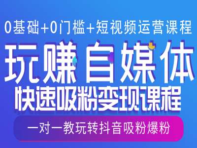 0基础+0门槛+短视频运营课程，玩赚自媒体快速吸粉变现课程，一对一教玩转抖音吸粉爆粉-800资源网