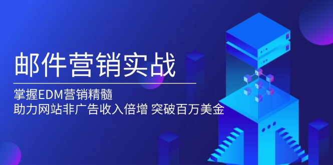 邮件营销实战，掌握EDM营销精髓，助力网站非广告收入倍增，突破百万美金-800资源网