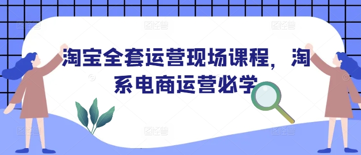 淘宝全套运营现场课程，淘系电商运营必学-800资源网