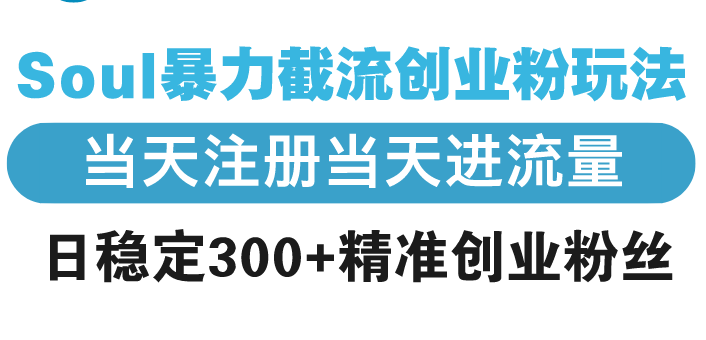 Soul暴力截流创业粉玩法，当天注册当天进流量，日稳定300+精准创业粉丝-800资源网