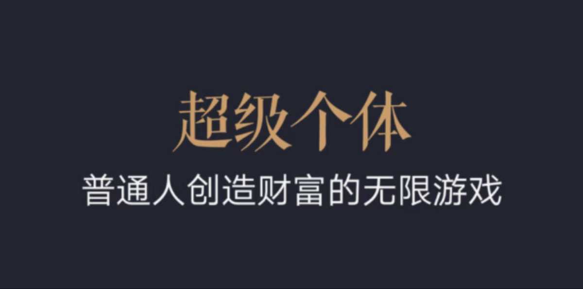 超级个体：2024-2025翻盘指南，普通人创造财富的无限游戏-800资源网