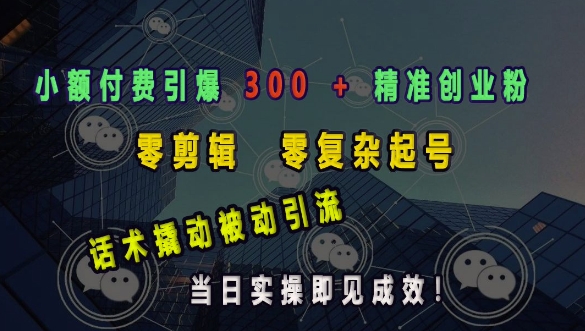 小额付费引爆 300 + 精准创业粉，零剪辑、零复杂起号，话术撬动被动引流，当日实操即见成效-800资源网