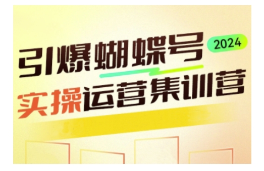 引爆蝴蝶号实操运营，助力你深度掌握蝴蝶号运营，实现高效实操，开启流量变现之路-800资源网