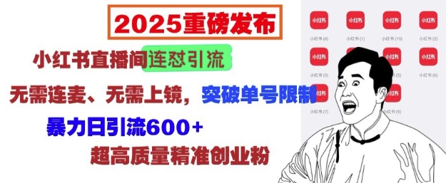 2025重磅发布：小红书直播间连怼引流，无需连麦、无需上镜，突破单号限制，暴力日引流600+-800资源网