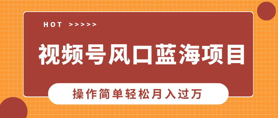 视频号风口蓝海项目，中老年人的流量密码，操作简单轻松月入过万-800资源网