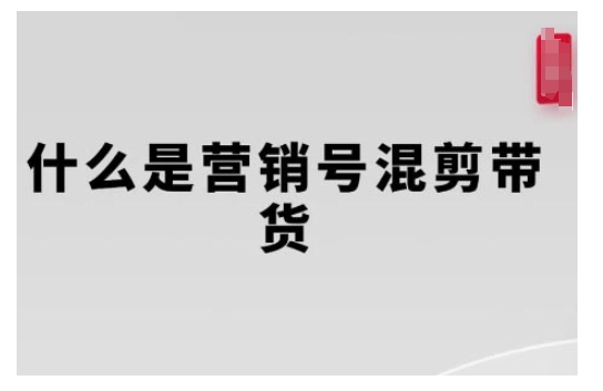 营销号混剪带货，从内容创作到流量变现的全流程，教你用营销号形式做混剪带货-800资源网