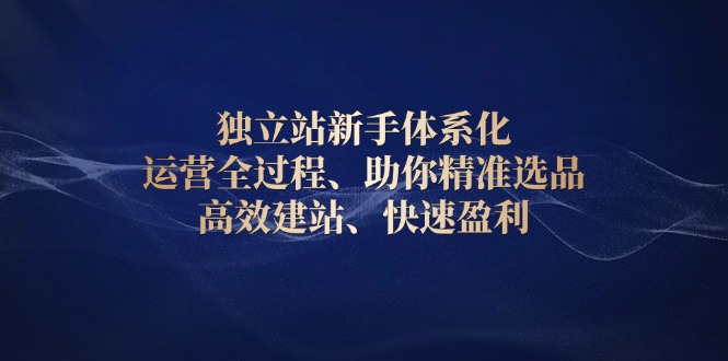 独立站新手体系化 运营全过程，助你精准选品、高效建站、快速盈利-800资源网